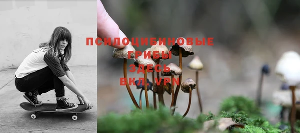хмурый Богородск