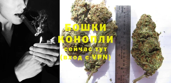 хмурый Богородск