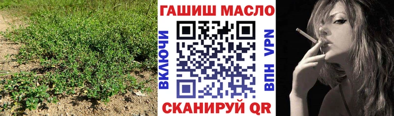 хочу наркоту  Выборг  Дистиллят ТГК THC oil 