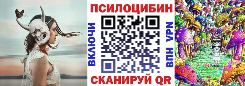 Галлюциногенные грибы Psilocybe мега tor нарко площадка клад Выборг