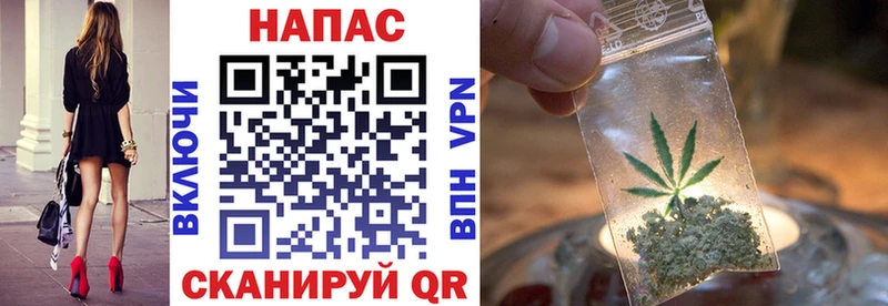 Конопля план  Выборг 